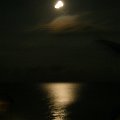 DSCF0537