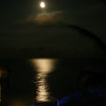 DSCF0538