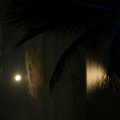 DSCF0539