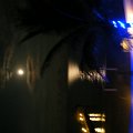 DSCF0541