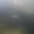 DSCF0545