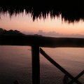 DSCF0551