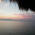 DSCF0554