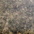 DSCF0558
