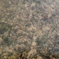 DSCF0559