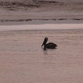 DSCF0561