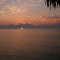 DSCF0567