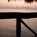 DSCF0569
