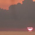 DSCF0571