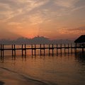 DSCF0581