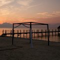 DSCF0582