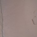 DSCF0583