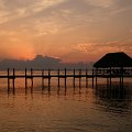 DSCF0586