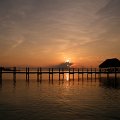DSCF0590