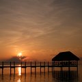 DSCF0592