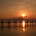 DSCF0595
