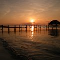 DSCF0596