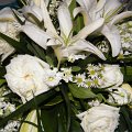 DSCF0898