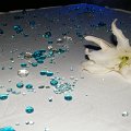 DSCF0899