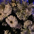 DSCF0902