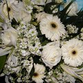 DSCF0904